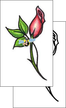 Rose Tattoo plant-life-rose-tattoos-shane-hart-s1f-00023