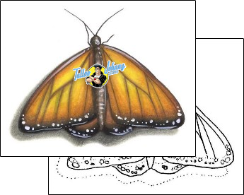 Butterfly Tattoo s1f-00103