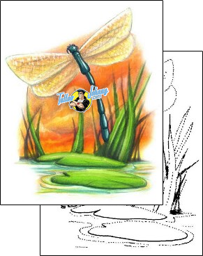 Dragonfly Tattoo insects-dragonfly-tattoos-shane-hart-s1f-00137