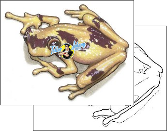 Frog Tattoo reptiles-and-amphibians-frog-tattoos-shane-hart-s1f-00192