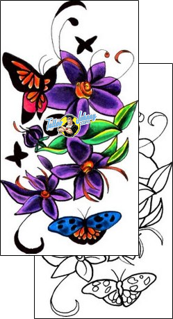 Butterfly Tattoo insects-butterfly-tattoos-sunshine-s9f-00312