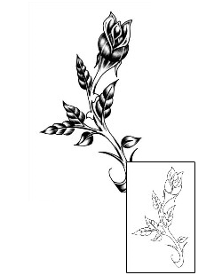 Picture of Plant Life tattoo | SCF-00003
