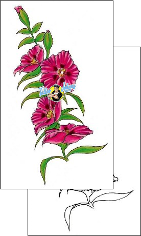 Flower Tattoo flower-tattoos-shawn-conn-sof-00252