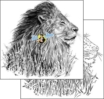 Lion Tattoo animal-lion-tattoos-shawn-conn-sof-00456