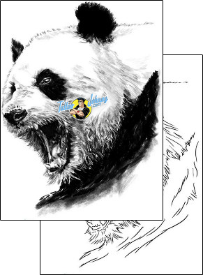 Panda Tattoo panda-tattoos-shawn-conn-sof-00457