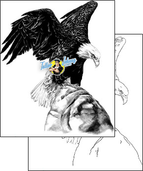 Bird Tattoo animal-bird-tattoos-shawn-conn-sof-00460