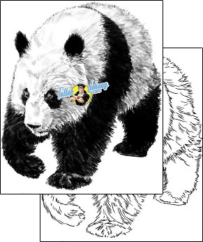 Panda Tattoo panda-tattoos-shawn-conn-sof-00461