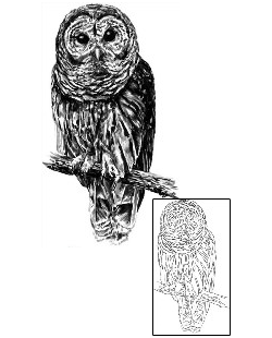 Owl Tattoo Animal tattoo | SOF-00472