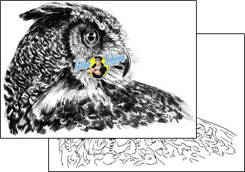 Bird Tattoo animal-bird-tattoos-shawn-conn-sof-00482