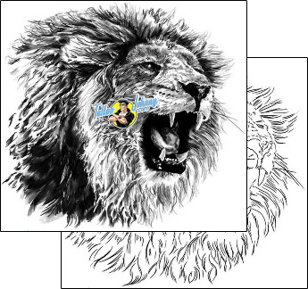 Lion Tattoo animal-lion-tattoos-shawn-conn-sof-00485