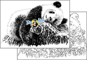 Panda Tattoo panda-tattoos-shawn-conn-sof-00491