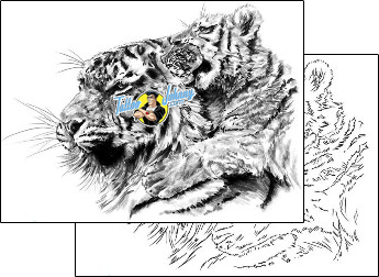 Tiger Tattoo animal-tiger-tattoos-shawn-conn-sof-00494