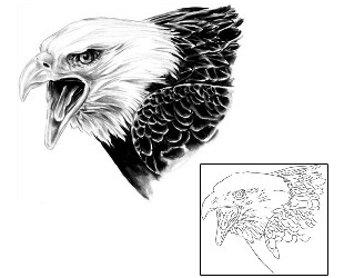 Eagle Tattoo Animal tattoo | SOF-00496