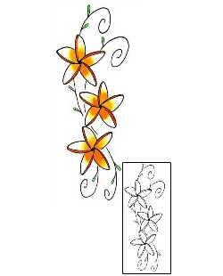 Plumeria Tattoo SQF-00031