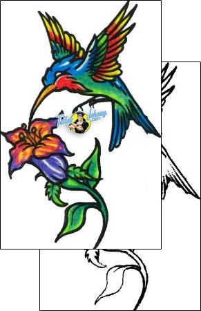 Bird Tattoo animal-bird-tattoos-steve-comeaux-sxf-00104
