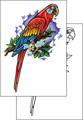 Bird Tattoo animal-bird-tattoos-steve-comeaux-sxf-00109