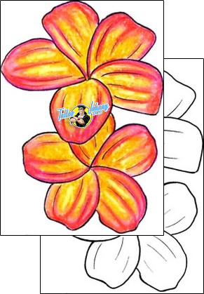 Plumeria Tattoo t9f-00425