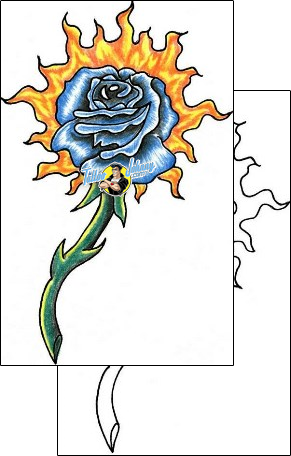 Celestial Tattoo astronomy-celestial-tattoos-toby-ackerman-taf-00016