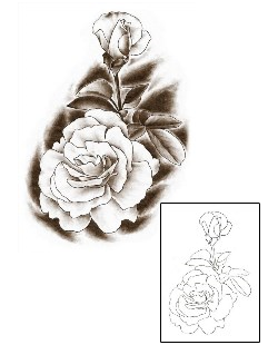 Picture of Plant Life tattoo | TDF-00061