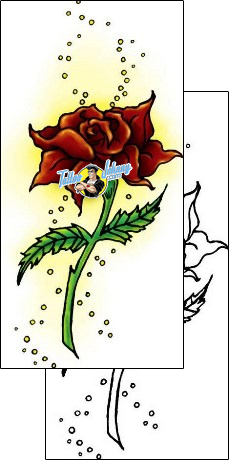 Rose Tattoo plant-life-rose-tattoos-therese-l-davis-thf-00071