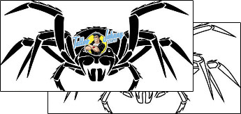 Spider Tattoo insects-spider-tattoos-tony-shark-tnf-00269