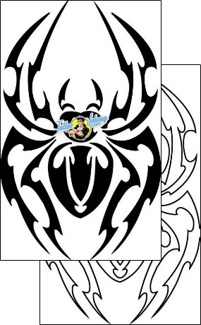 Spider Tattoo insects-spider-tattoos-tony-shark-tnf-00275