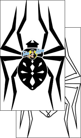 Spider Tattoo insects-spider-tattoos-tony-shark-tnf-00282