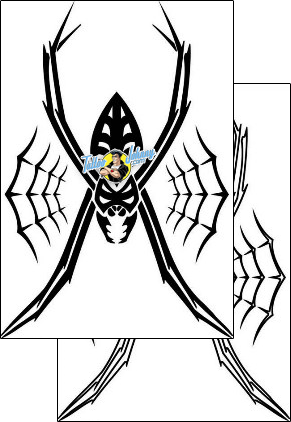 Spider Tattoo insects-spider-tattoos-tony-shark-tnf-00296