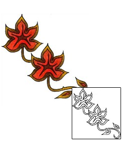Picture of VVF-00175