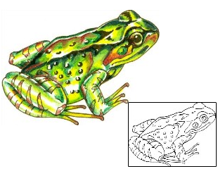 Frog Tattoo Reptiles & Amphibians tattoo | WHF-00058