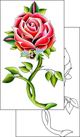 Rose Tattoo plant-life-rose-tattoos-steve-wickert-wkf-00019