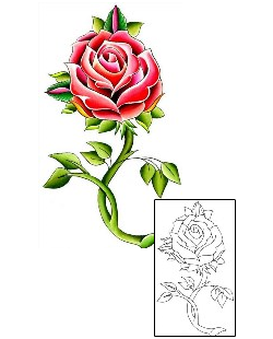 Picture of Plant Life tattoo | WKF-00019