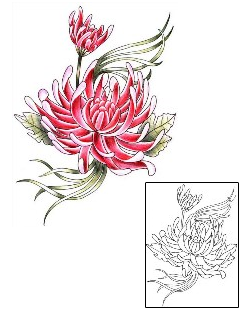 Chrysanthemum Tattoo Chrysanthemum Duo Tattoo