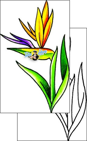 Flower Tattoo plant-life-flowers-tattoos-josh-stanley-x1f-00058
